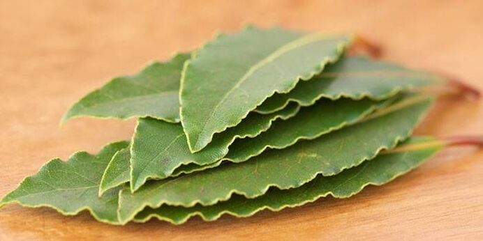 El uso de la hoja de laurel contra el alcoholismo